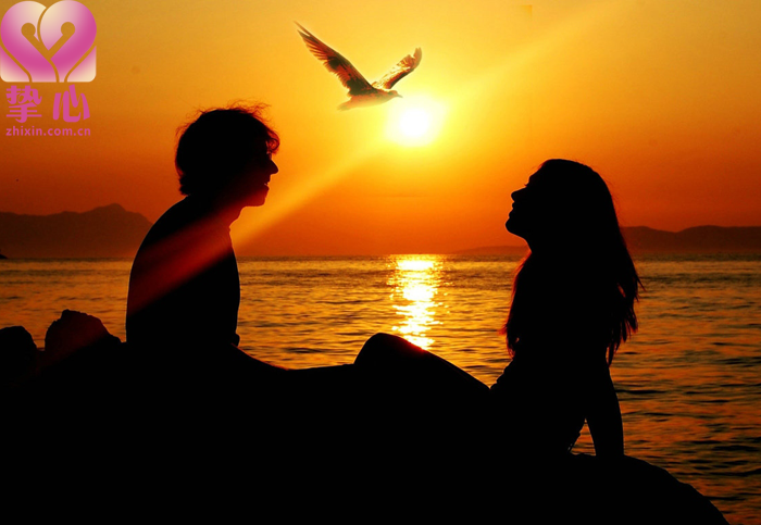 512c6866182da.png 512c6866182da.png