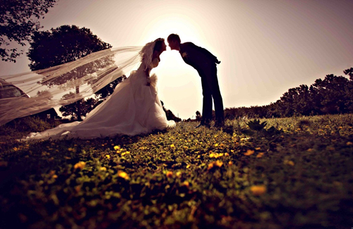 timg (3).jpg timg (3).jpg